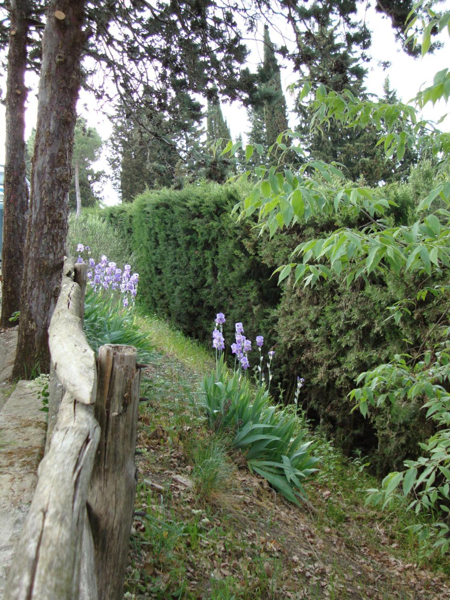 Camping Village Panoramico Fiesole Exteriör bild